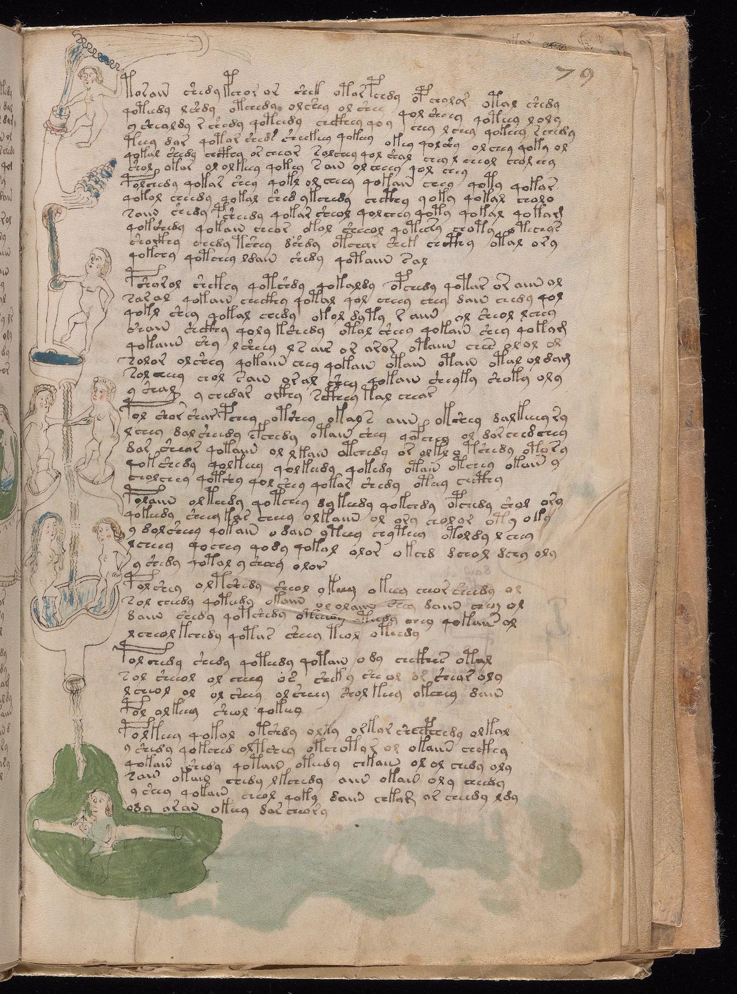 Voynich Manuscript folio f79r — Beinecke MS 408